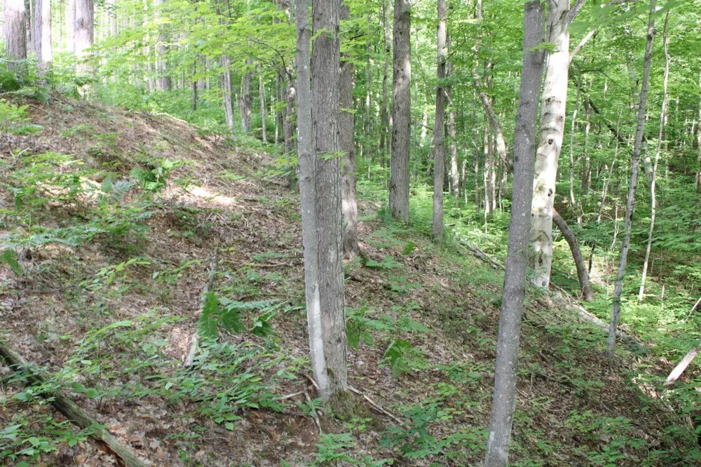 2750 NE Apple Creek Road Kalkaska Township, MI 49646