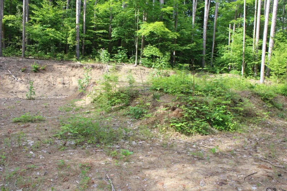 2750 NE Apple Creek Road Kalkaska Township, MI 49646