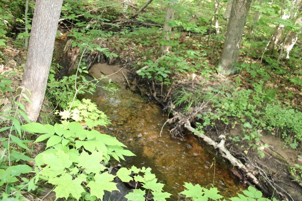 2750 NE Apple Creek Road Kalkaska Township, MI 49646