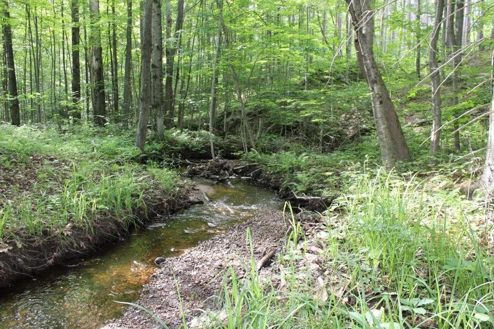 2750 NE Apple Creek Road Kalkaska Township, MI 49646