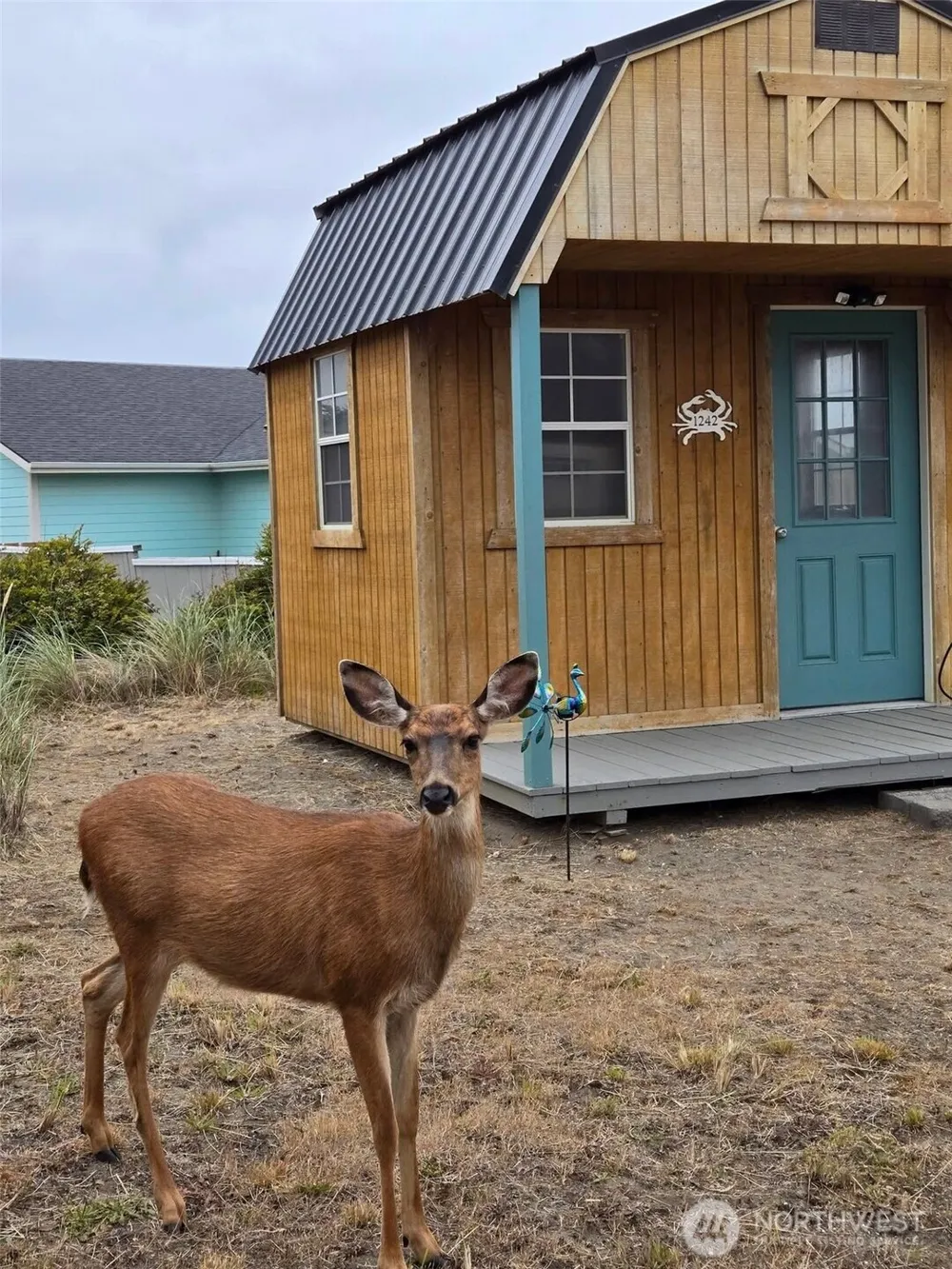 1242 Catalina Court SW Ocean Shores, WA 98569
