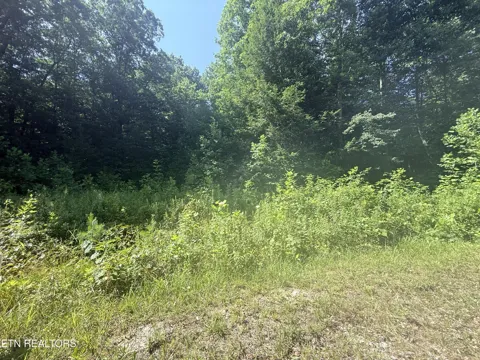 760 Dubose Drive