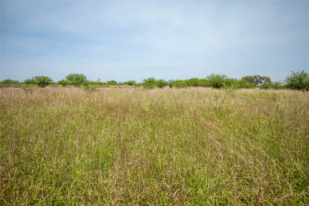 Green DeWitt Road Cuero, TX 77954