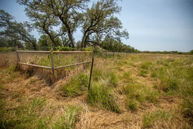 Green DeWitt Road Cuero, TX 77954