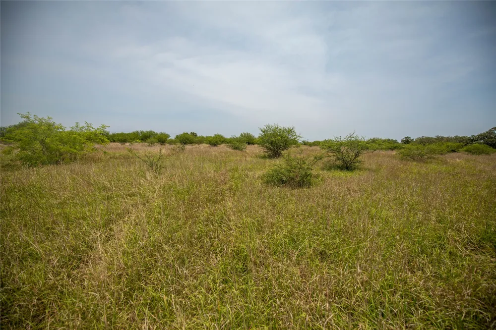Green DeWitt Road Cuero, TX 77954