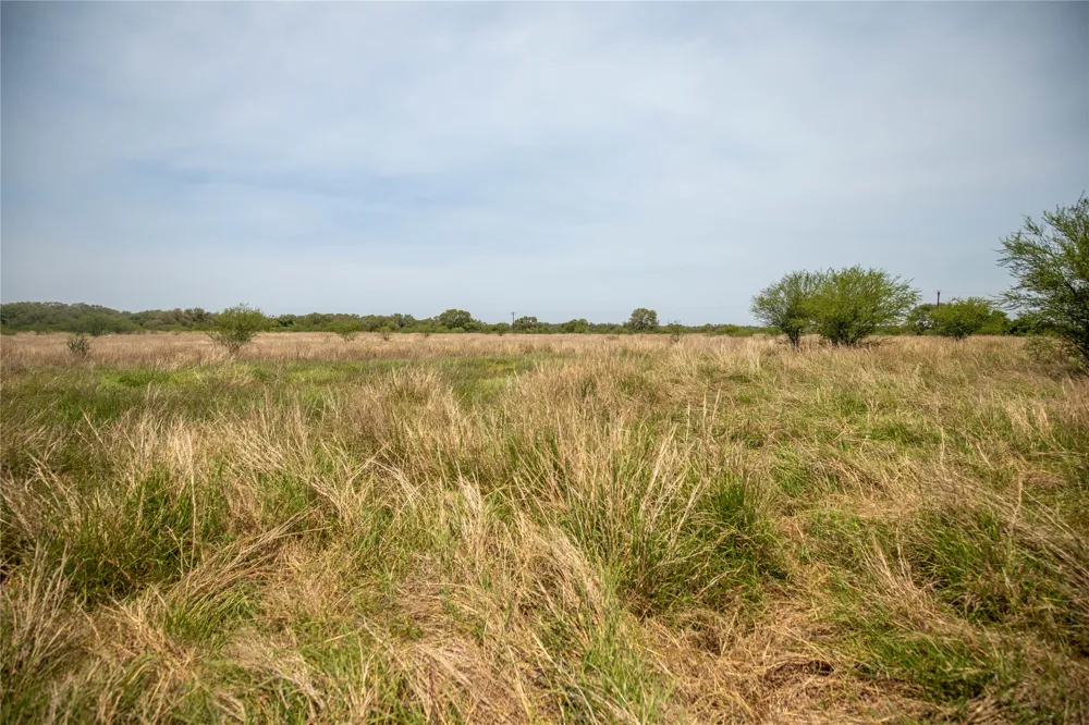 Green DeWitt Road Cuero, TX 77954