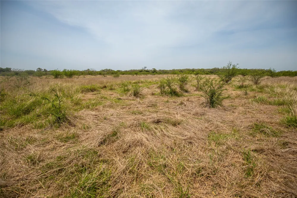 Green DeWitt Road Cuero, TX 77954
