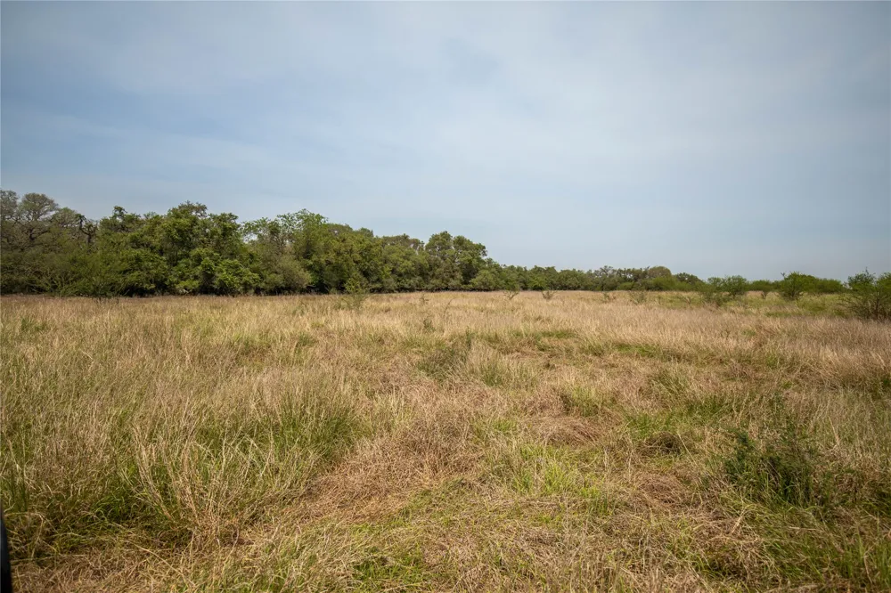 Green DeWitt Road Cuero, TX 77954