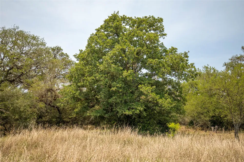 Green DeWitt Road Cuero, TX 77954