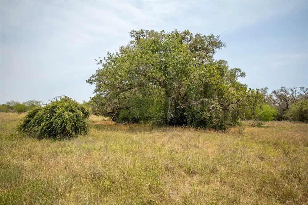 Green DeWitt Road Cuero, TX 77954