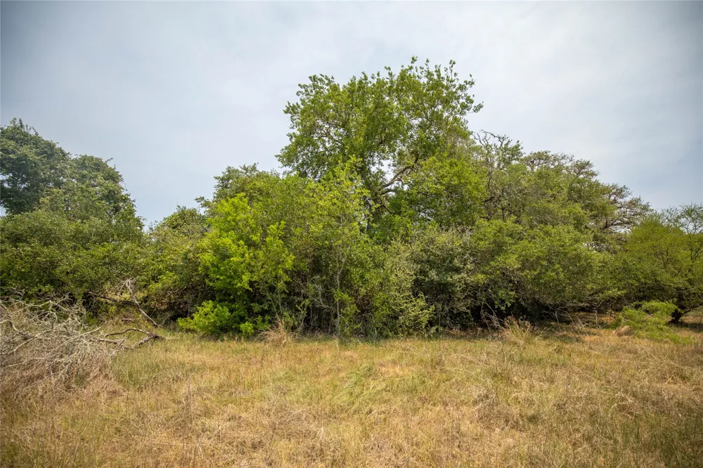 Green DeWitt Road Cuero, TX 77954