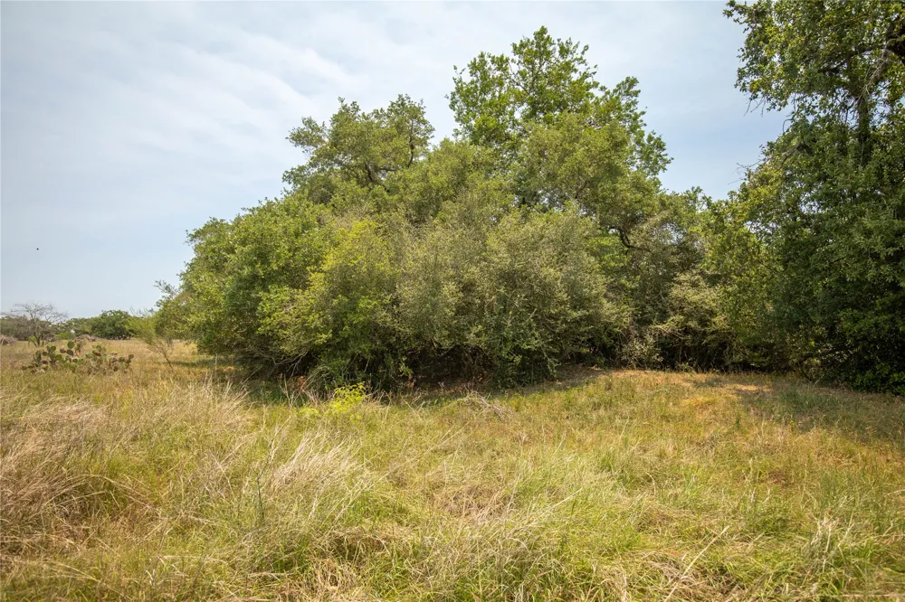 Green DeWitt Road Cuero, TX 77954