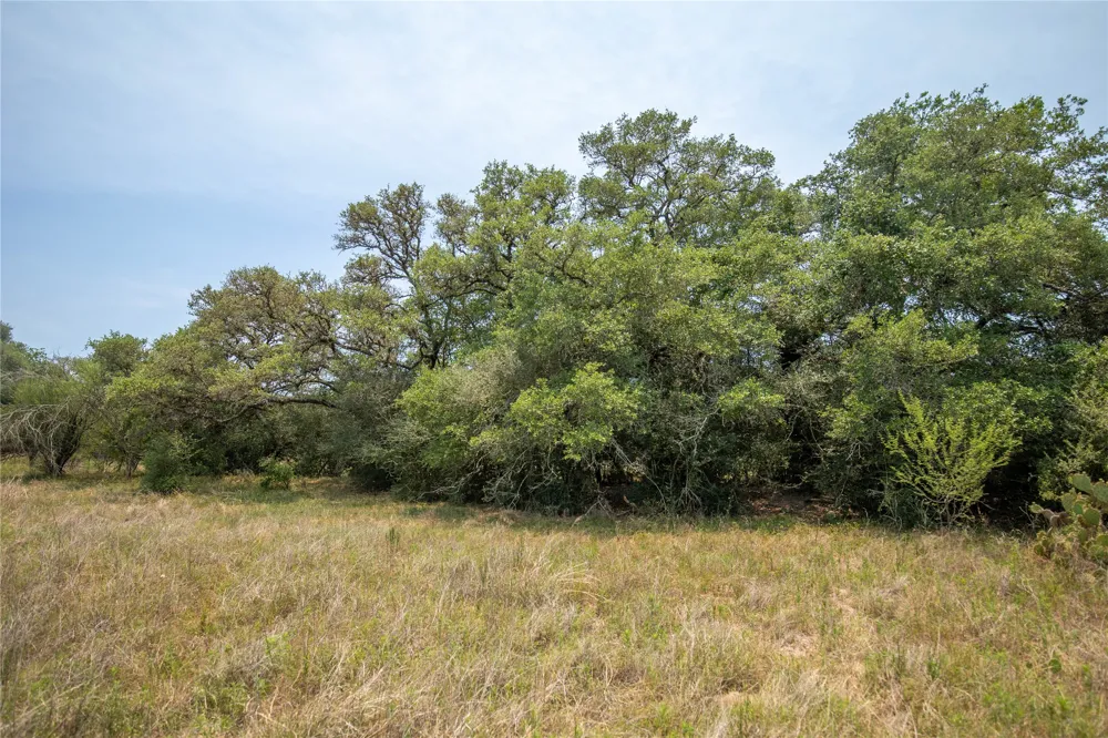 Green DeWitt Road Cuero, TX 77954