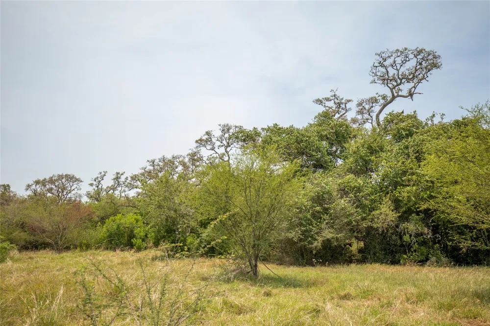 Green DeWitt Road Cuero, TX 77954