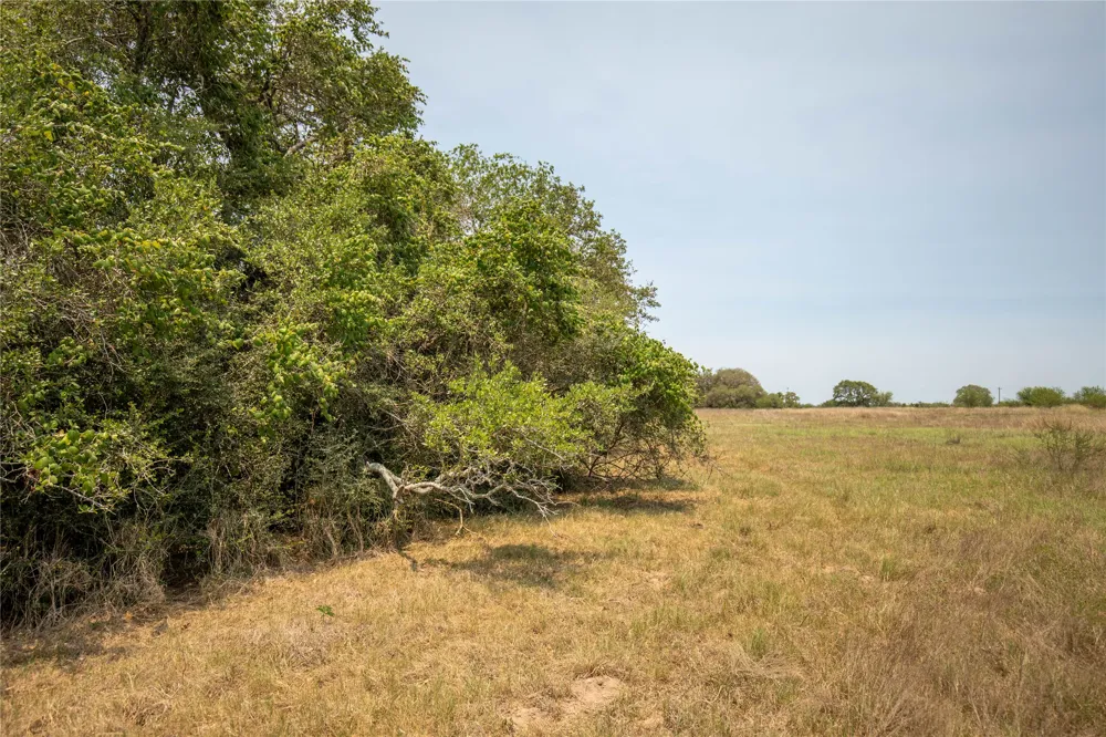 Green DeWitt Road Cuero, TX 77954