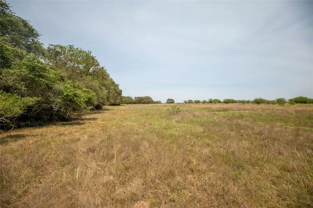 Green DeWitt Road Cuero, TX 77954