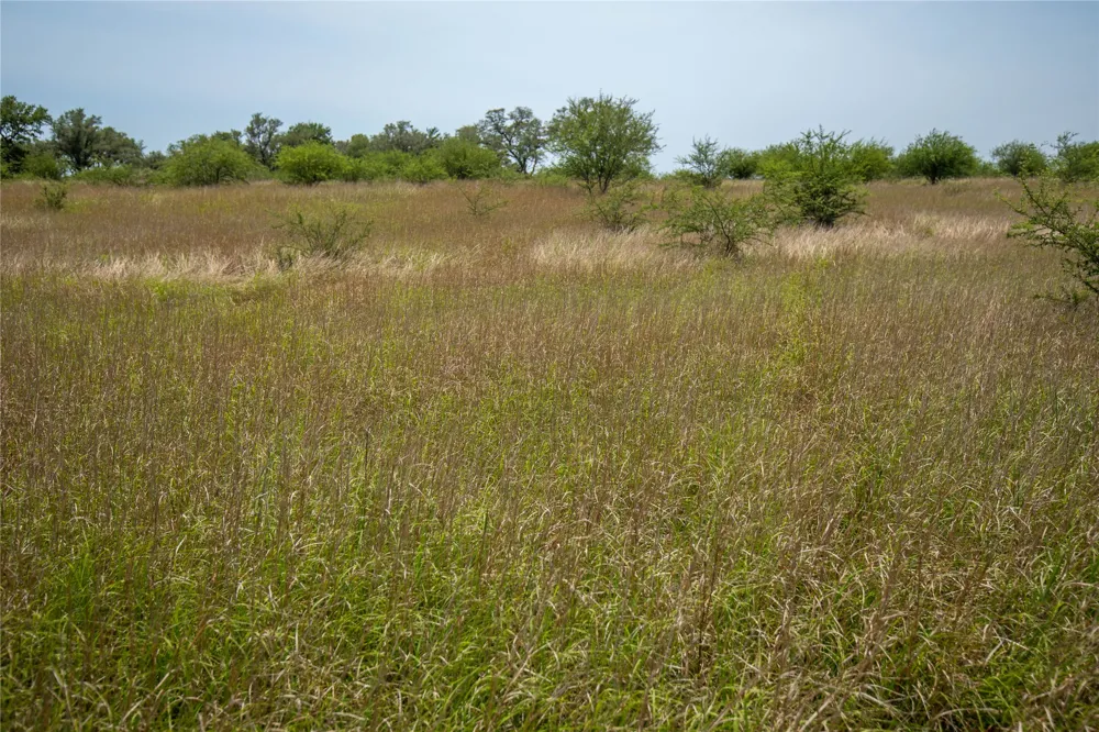 Green DeWitt Road Cuero, TX 77954