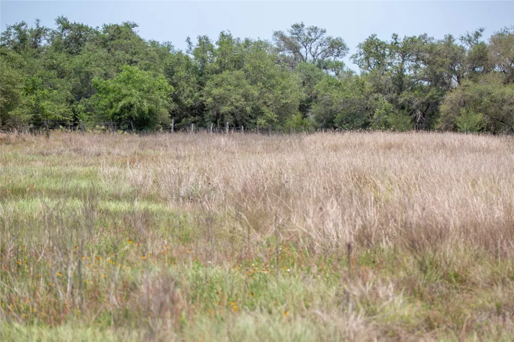 Green DeWitt Road Cuero, TX 77954