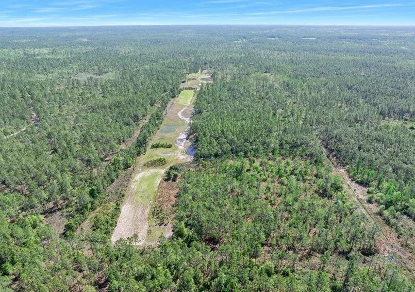 0 CARTER STREET Bunnell, FL 32110