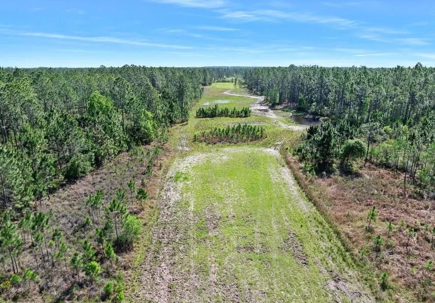 0 CARTER STREET Bunnell, FL 32110