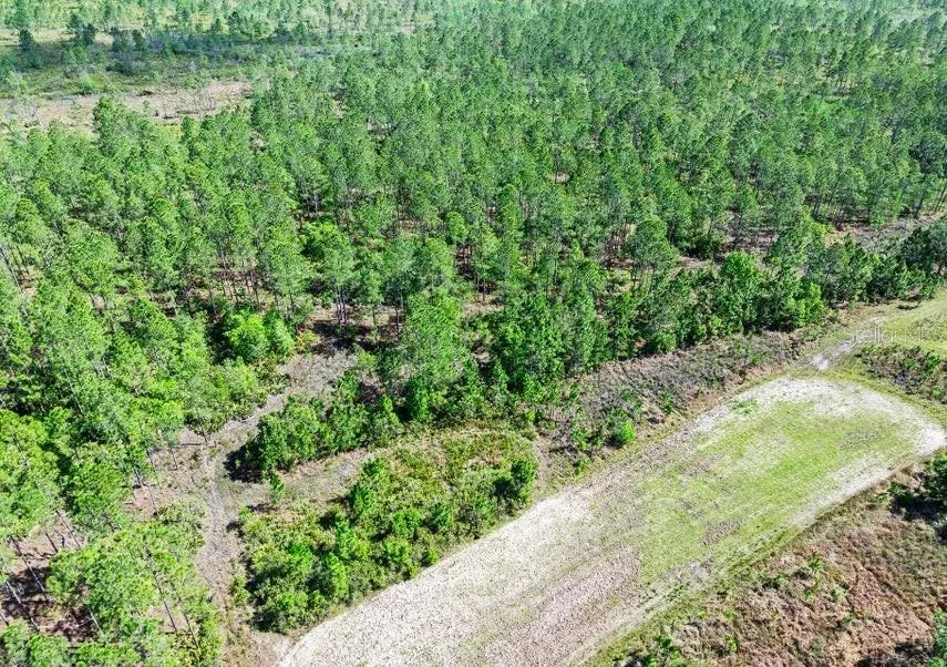 0 CARTER STREET Bunnell, FL 32110