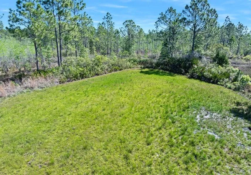 0 CARTER STREET Bunnell, FL 32110