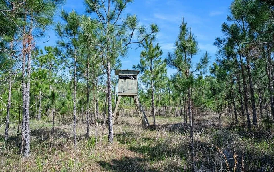 0 CARTER STREET Bunnell, FL 32110