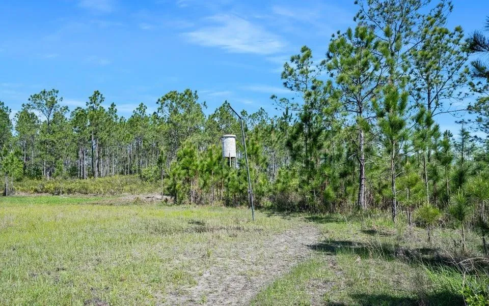 0 CARTER STREET Bunnell, FL 32110
