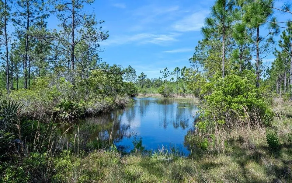 0 CARTER STREET Bunnell, FL 32110