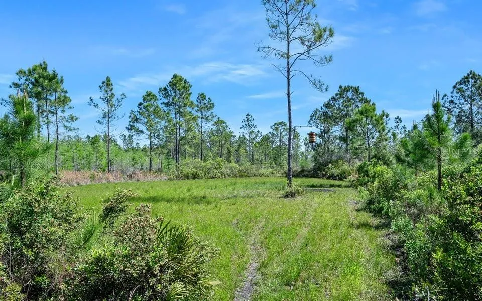 0 CARTER STREET Bunnell, FL 32110