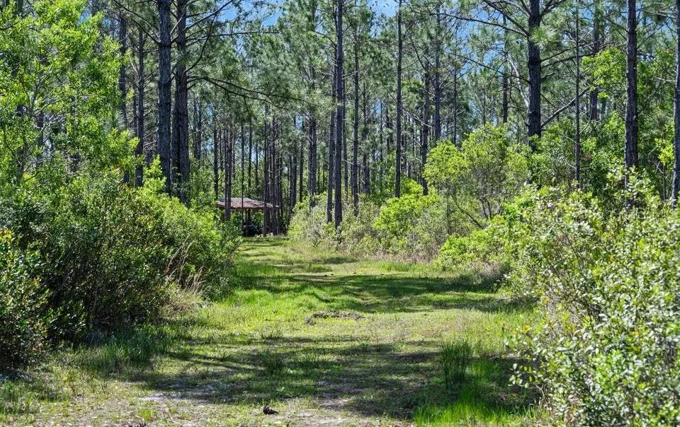 0 CARTER STREET Bunnell, FL 32110