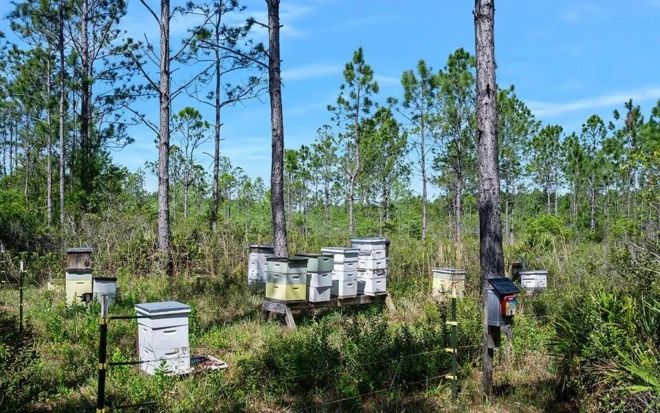 0 CARTER STREET Bunnell, FL 32110