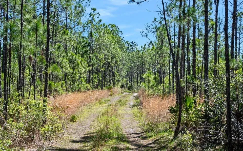 0 CARTER STREET Bunnell, FL 32110
