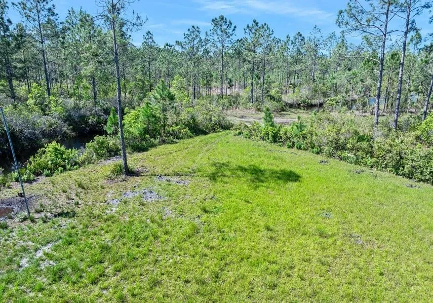0 CARTER STREET Bunnell, FL 32110