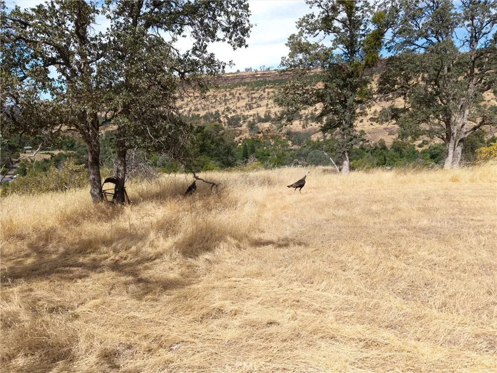 1985 Flatiron Chico, CA 95928