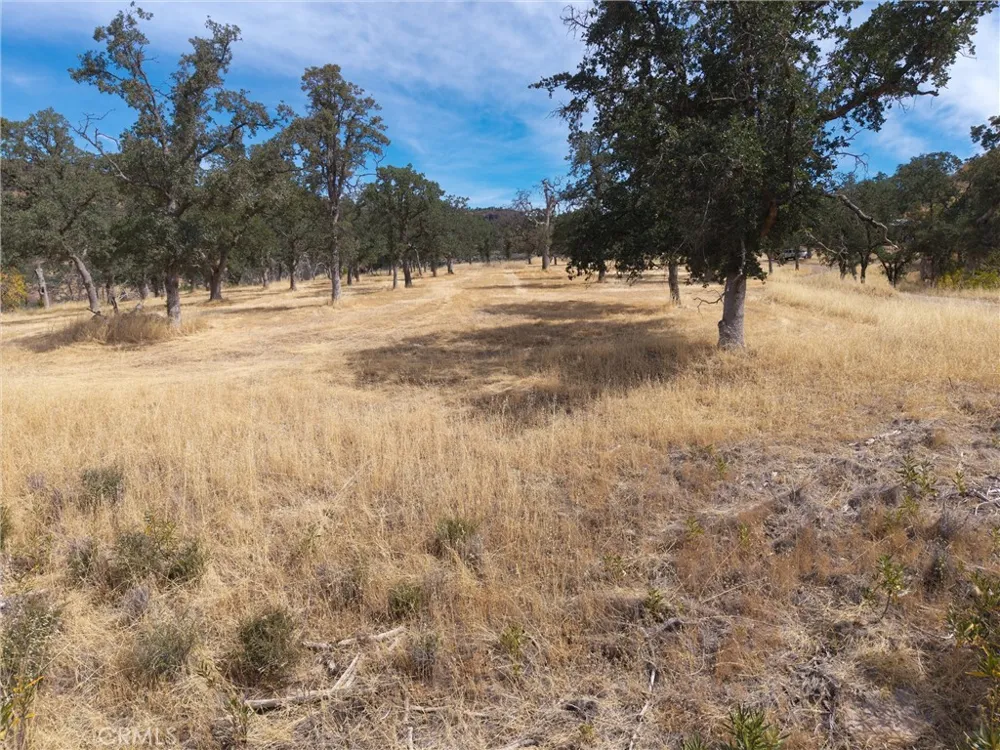1985 Flatiron Chico, CA 95928