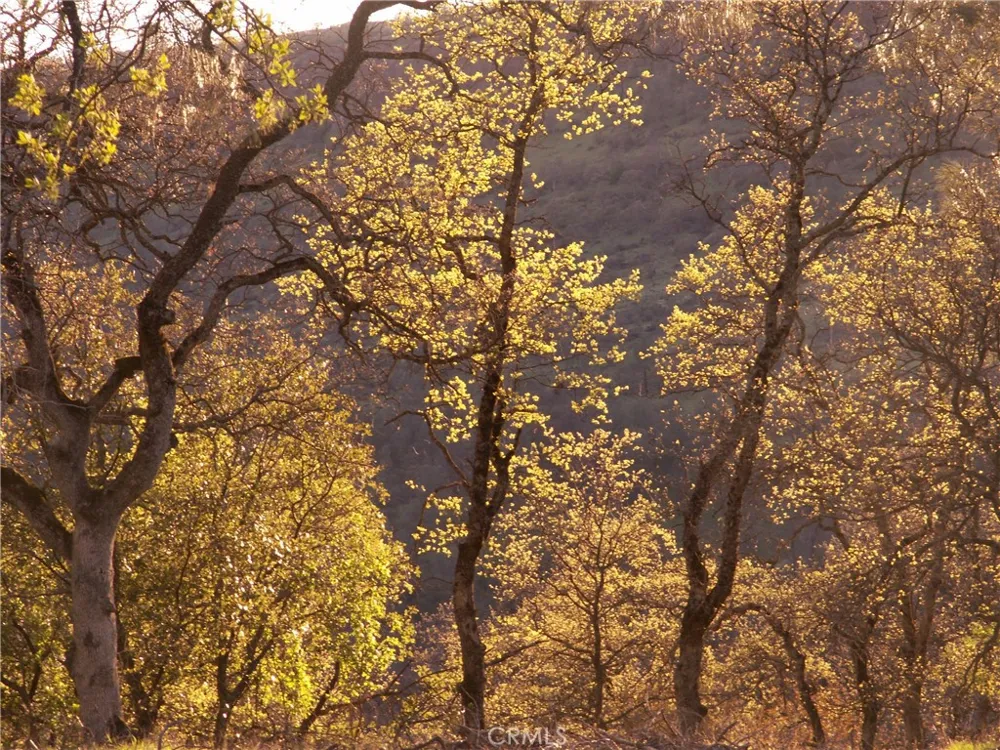 1985 Flatiron Chico, CA 95928