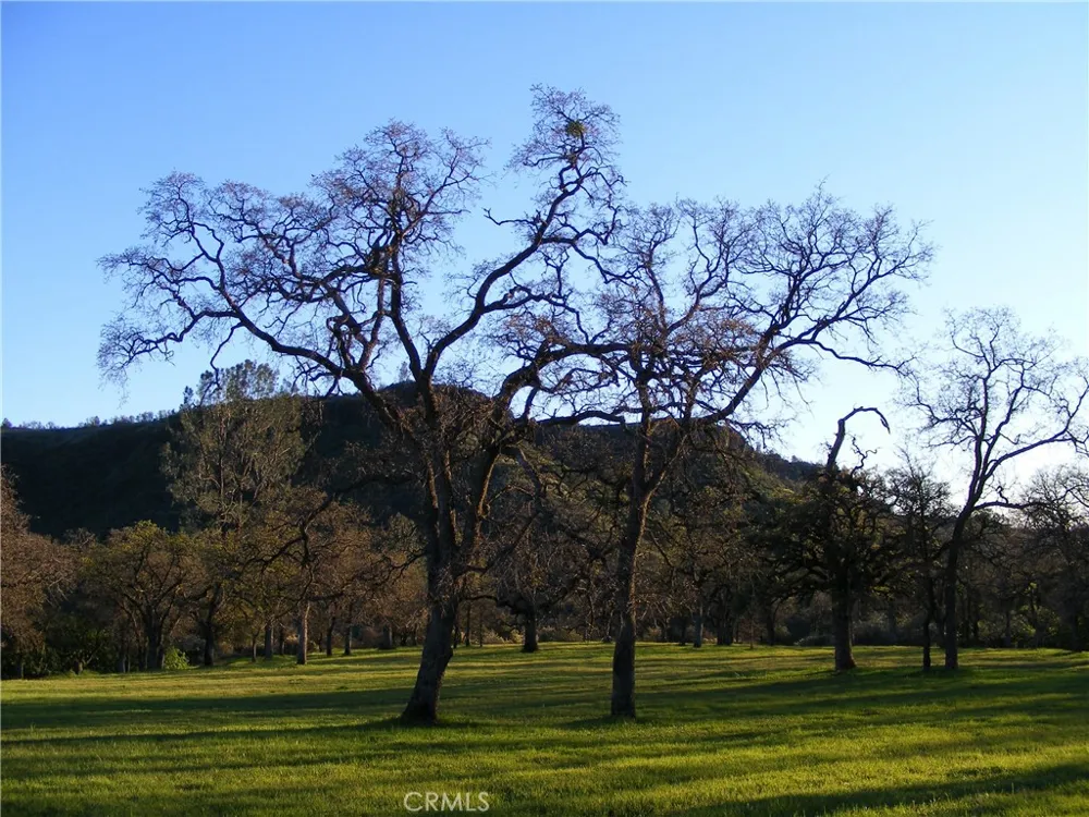 1985 Flatiron Chico, CA 95928