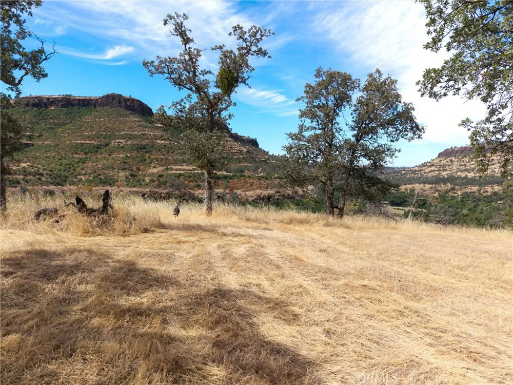 1985 Flatiron Chico, CA 95928