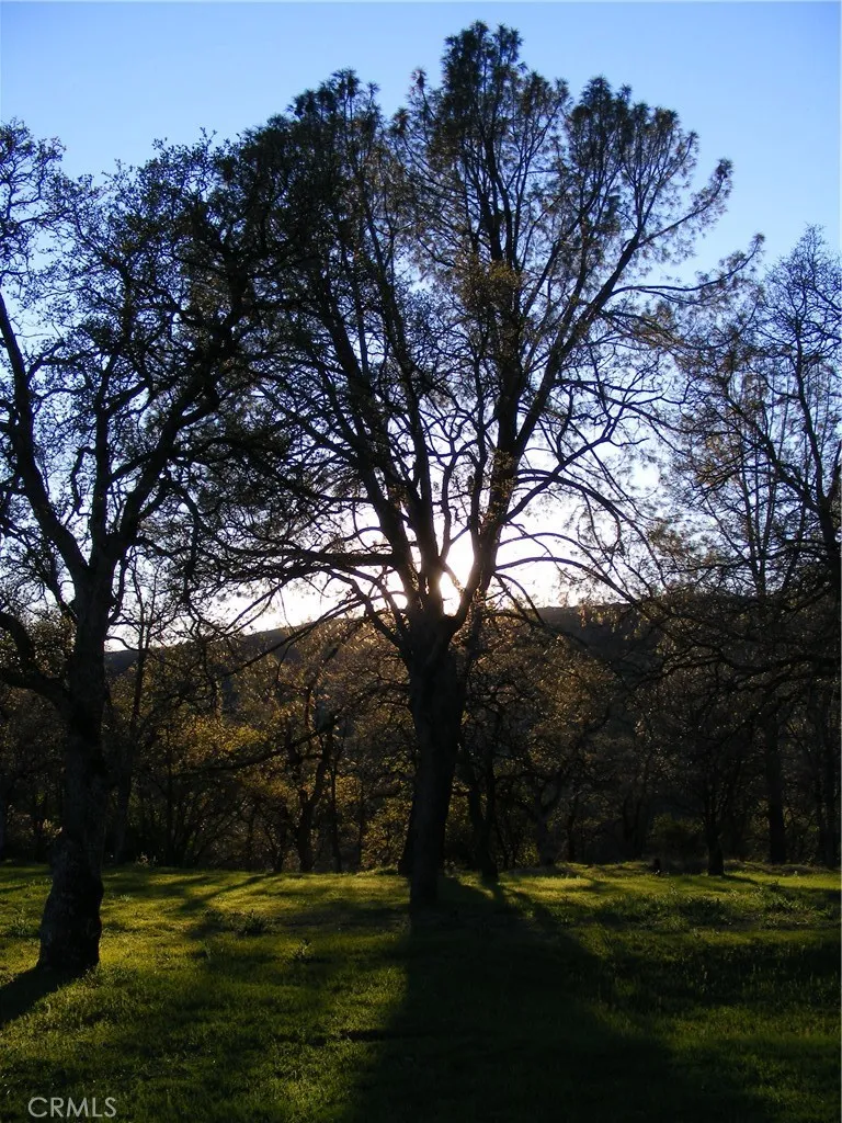 1985 Flatiron Chico, CA 95928