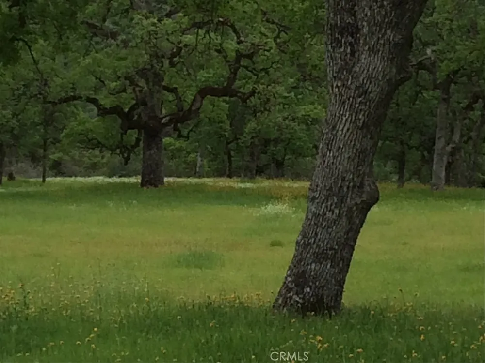 1985 Flatiron Chico, CA 95928