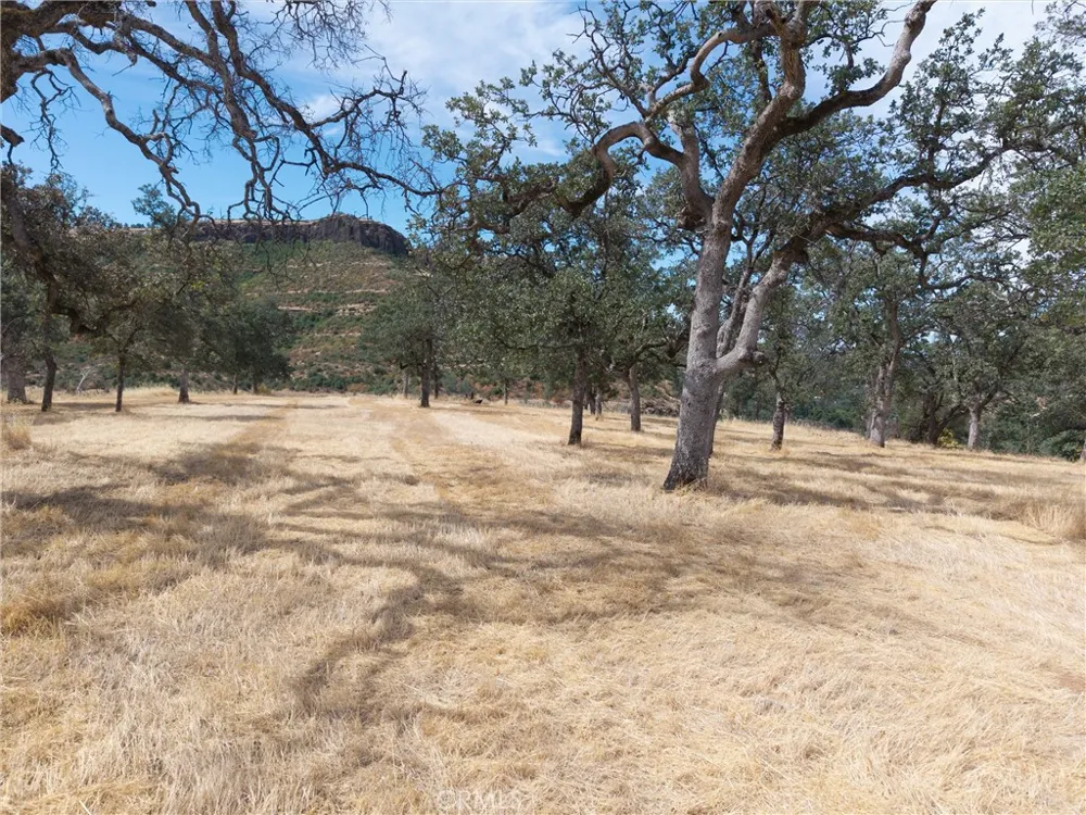 1985 Flatiron Chico, CA 95928