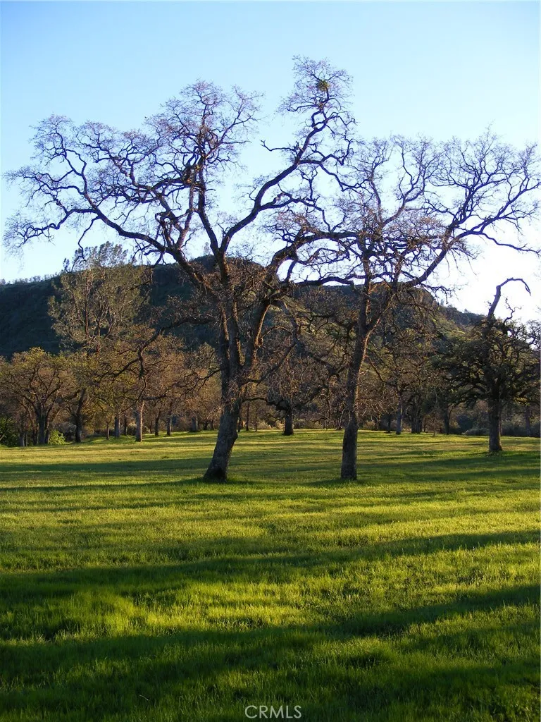 1985 Flatiron Chico, CA 95928