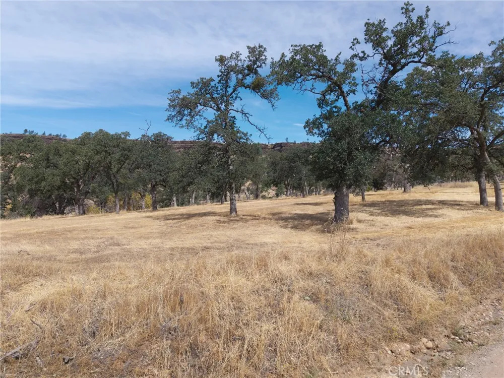 1985 Flatiron Chico, CA 95928