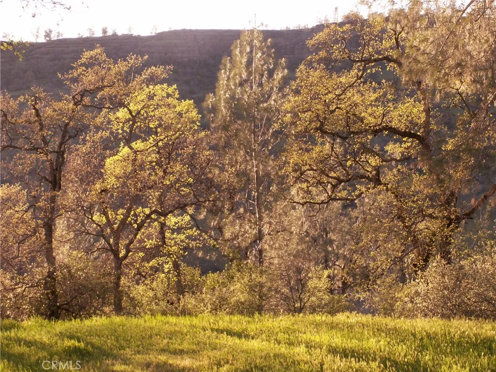 1985 Flatiron Chico, CA 95928