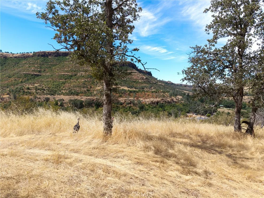1985 Flatiron Chico, CA 95928