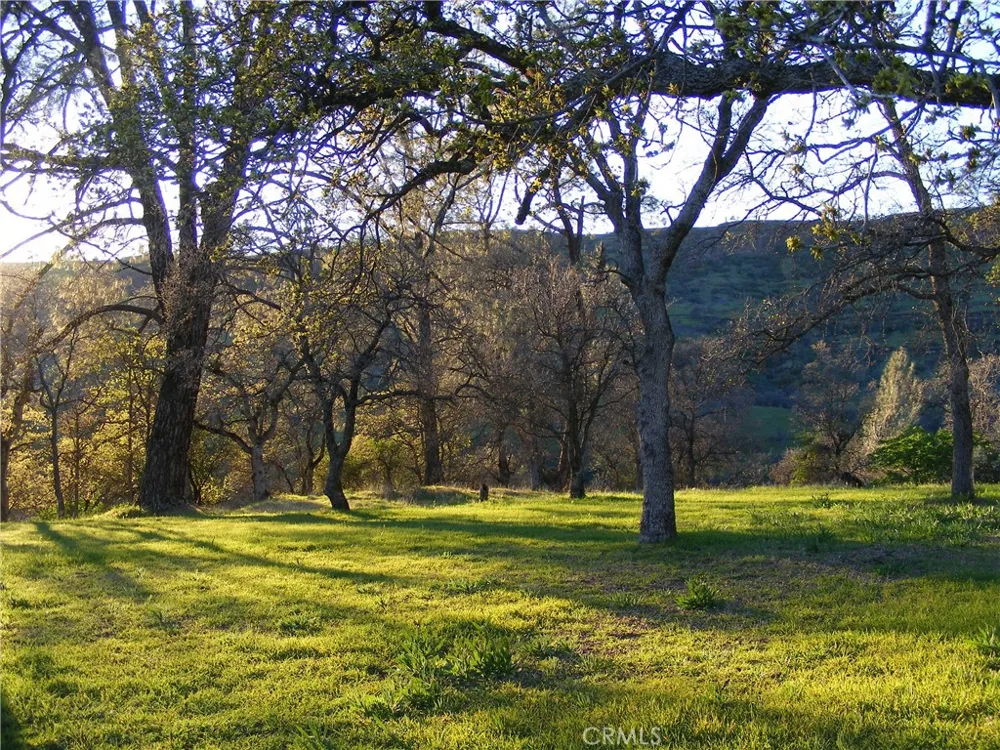 1985 Flatiron Chico, CA 95928