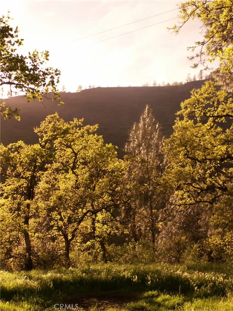 1985 Flatiron Chico, CA 95928