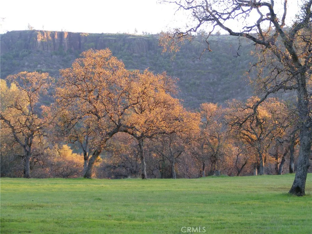 1985 Flatiron Chico, CA 95928
