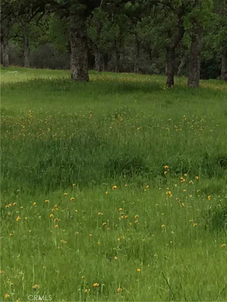 1985 Flatiron Chico, CA 95928